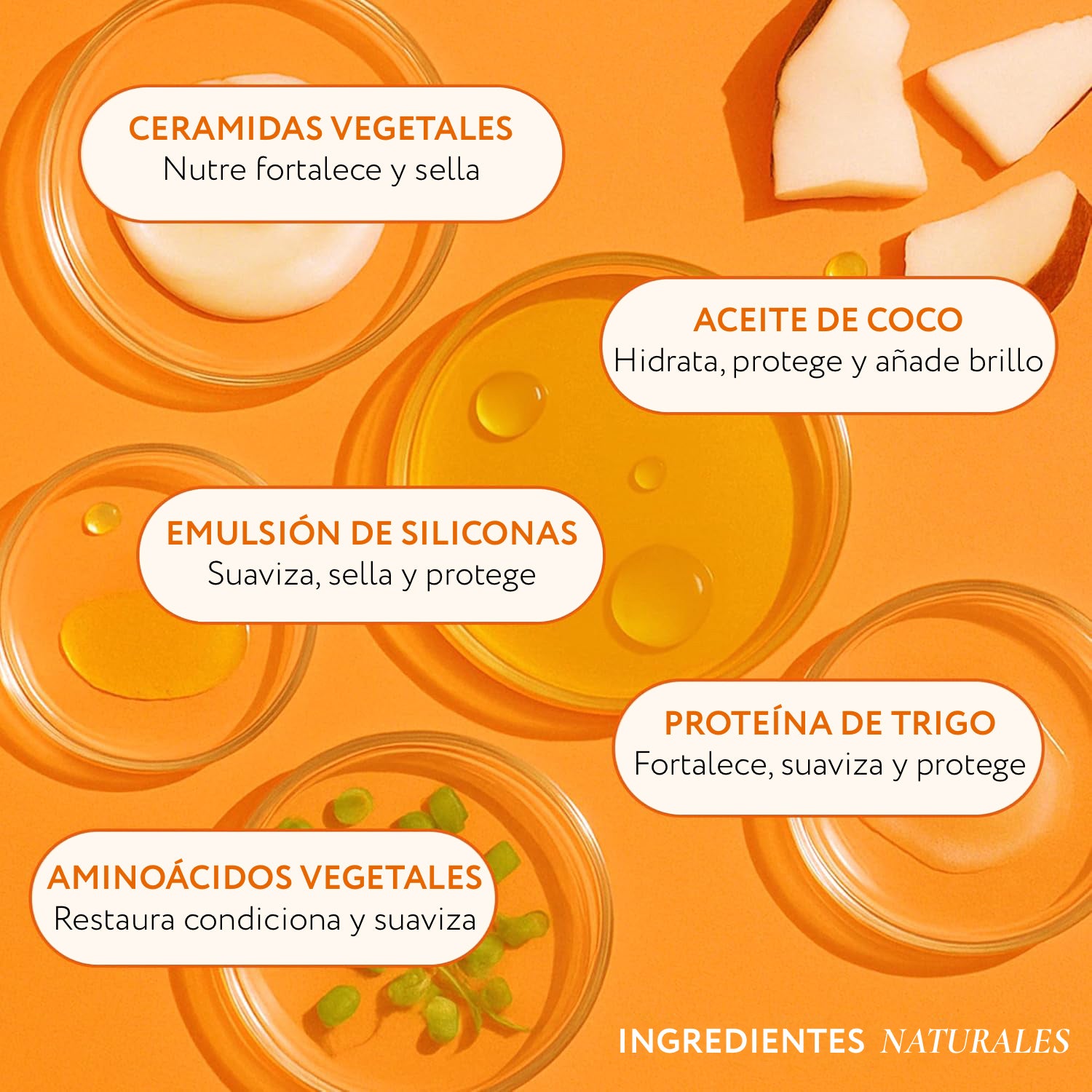 Cronograma Capilar Lata x3 Tubos 250gr c/u + alisado Fashion Gold 300gr