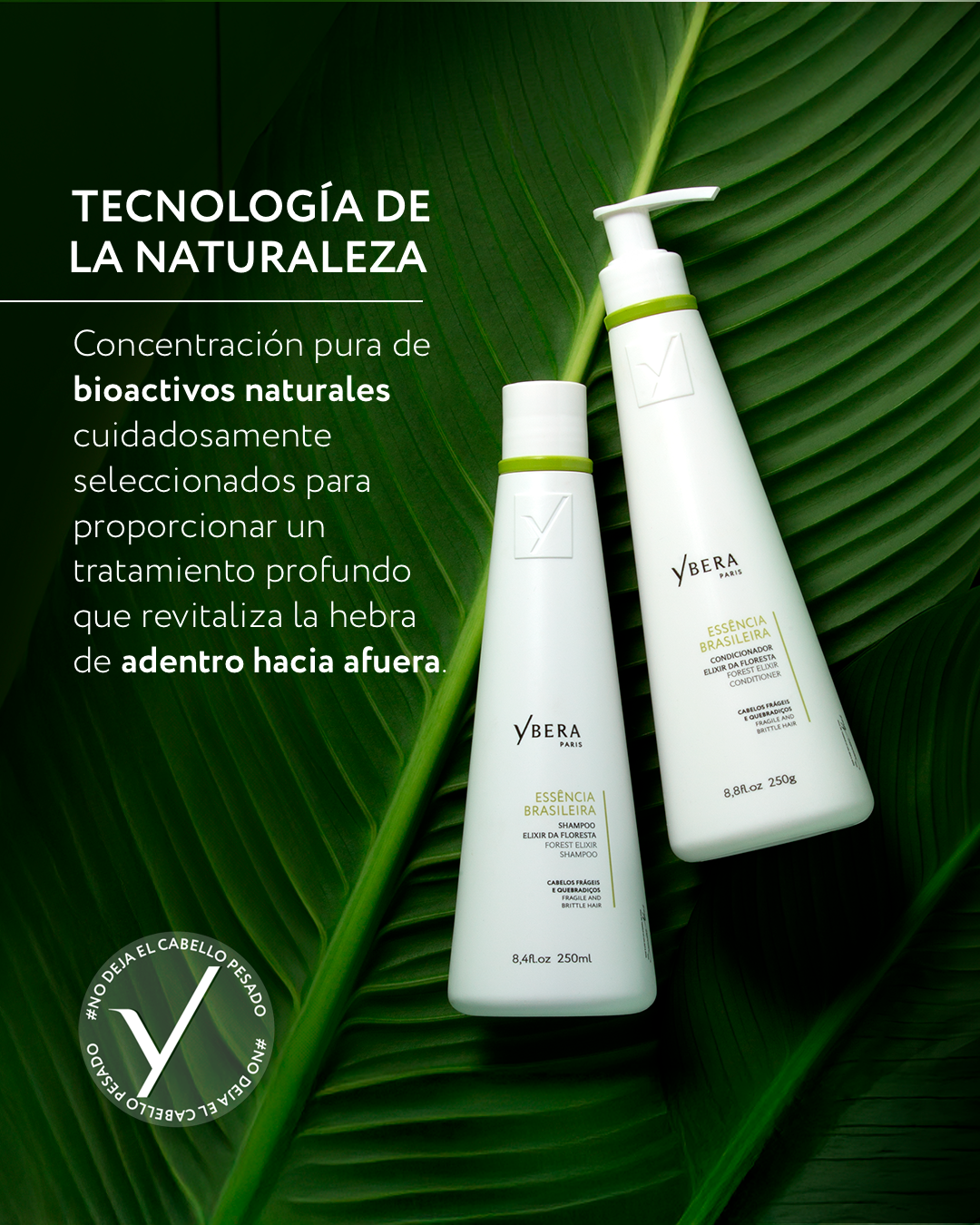 Essencia Brasileira - Floresta Kit ( Shampoo 250ml + Acondicionador 250ml + Leave-in 250gr